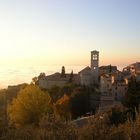 assisi