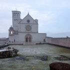 assisi 