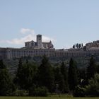 Assisi