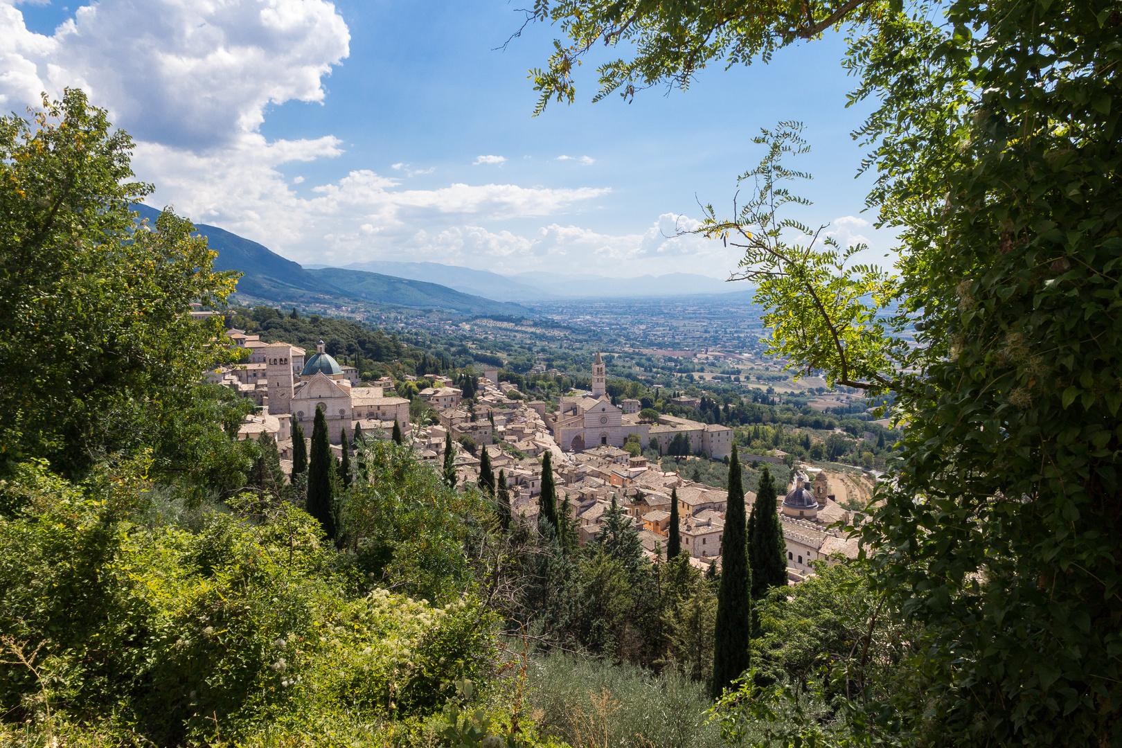 Assisi