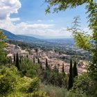 Assisi