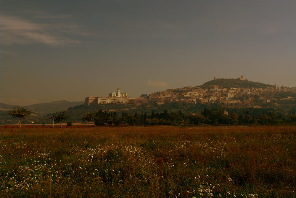 Assisi