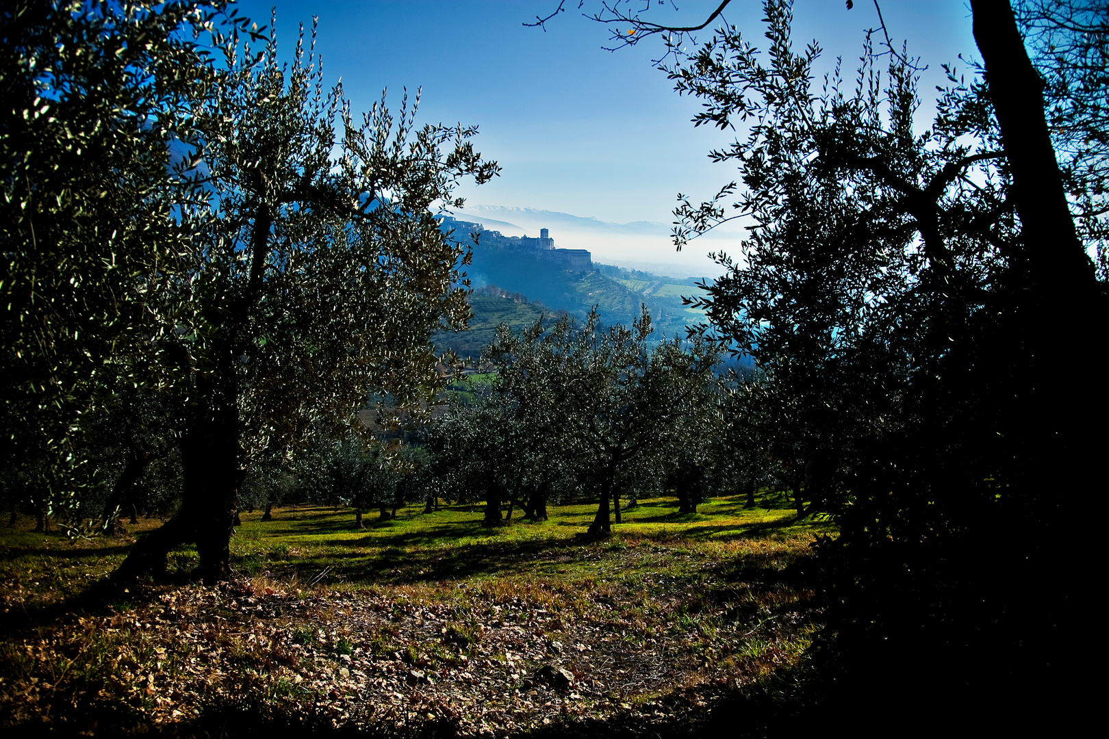 Assisi