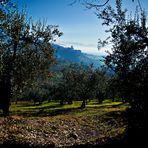 Assisi