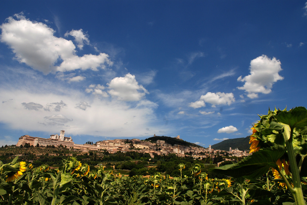 Assisi