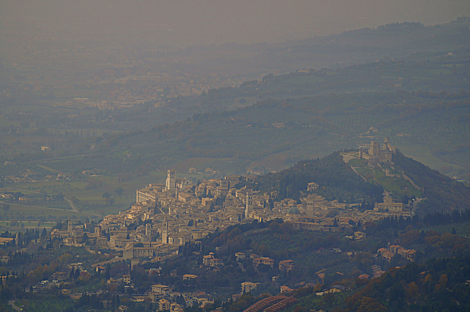 ASSISI