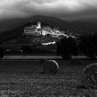 Assisi BW