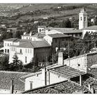 Assisi