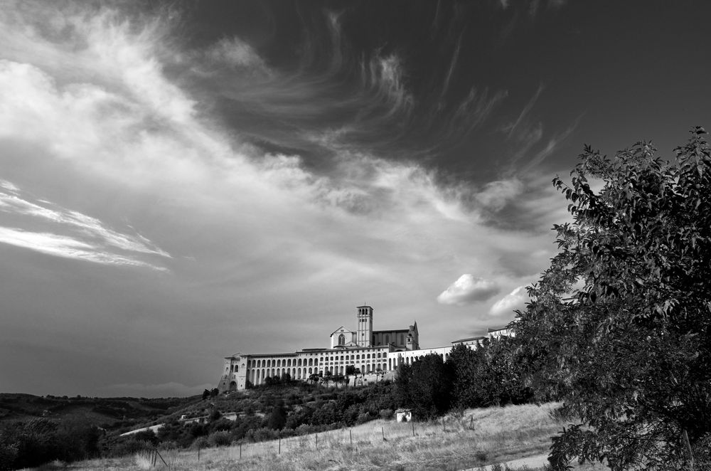 Assisi