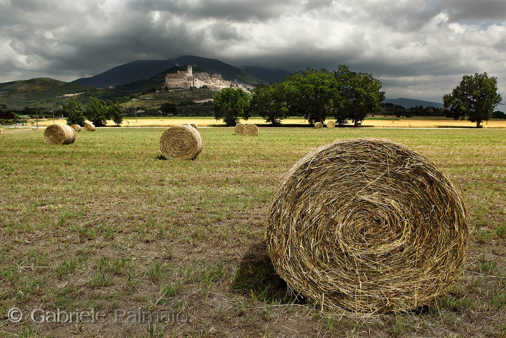 Assisi