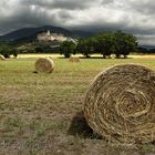 Assisi