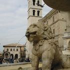 Assisi - Fontana in Piazza del Comune