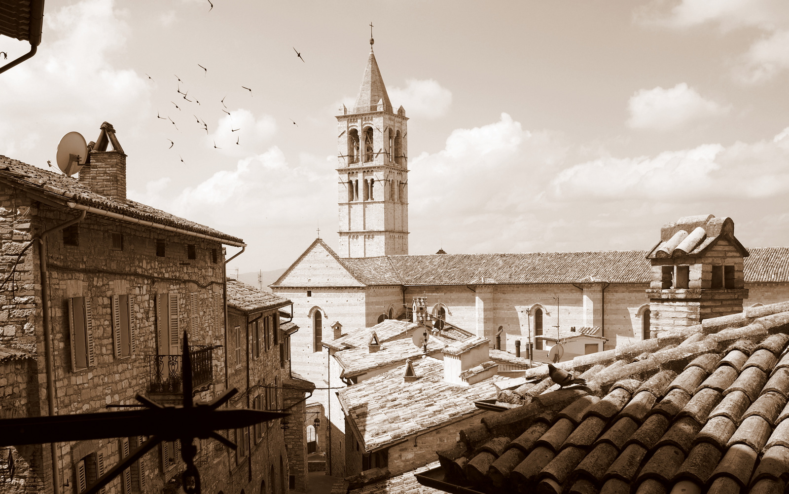 Assisi I