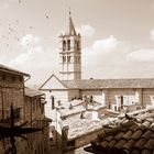 Assisi I