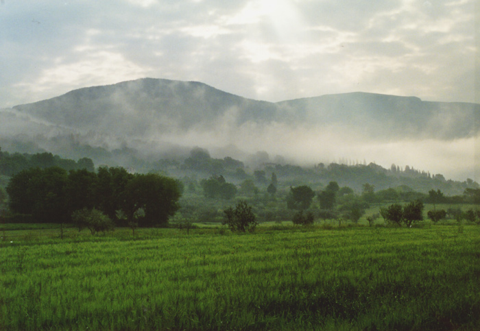 Assisi im Nebel