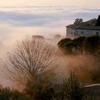 Assisi - La danza della luce e delle ombre (II)