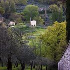 Assisi  morgens gen San Damiano 