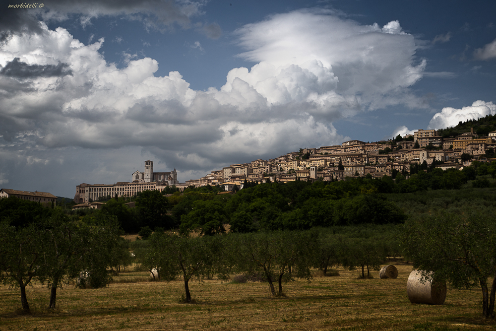 Assisi Panorama Foto Immagini Architetture Architetture Sacre Paesaggi Foto Su Fotocommunity