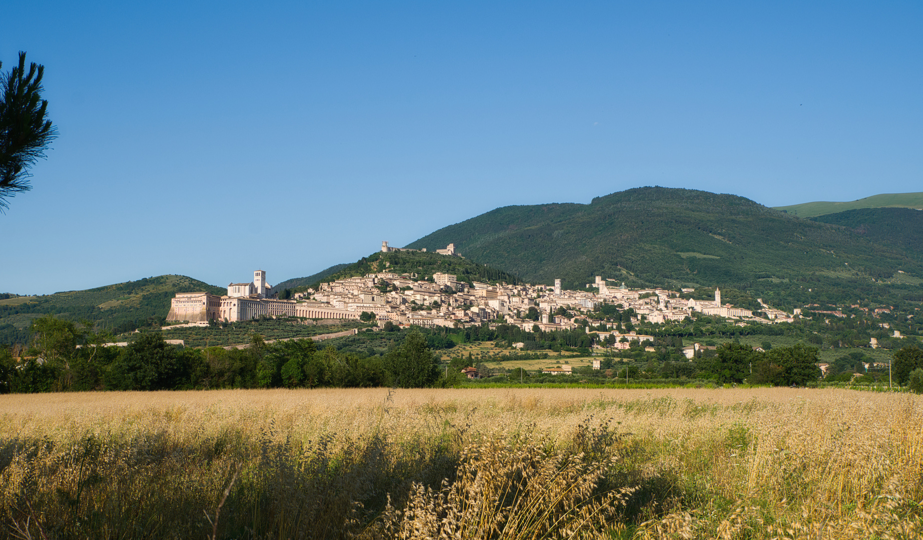 Assisi - Umbria