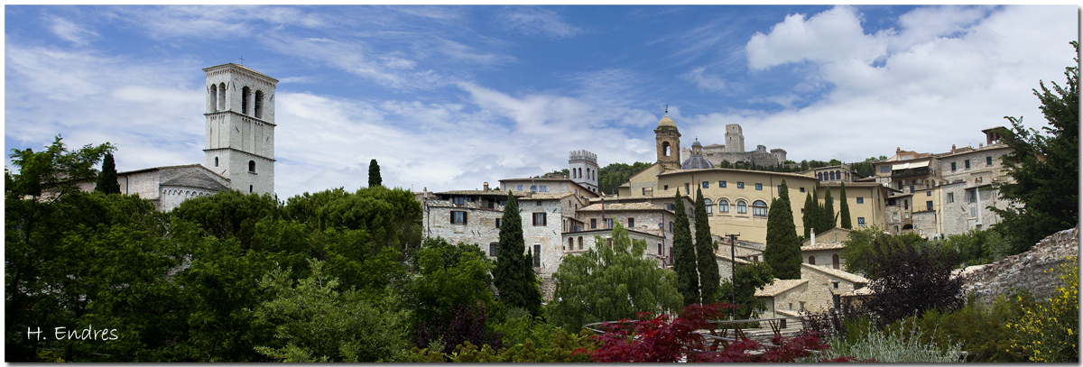 Assisi V