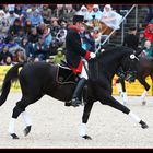 Assistent unter Hauptsattelmeister Rolf Eberhard