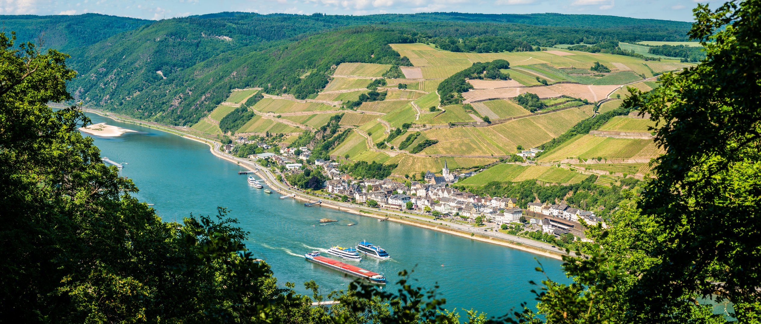 Assmannshausen (13) Foto & Bild rhein, aussichtspunkt, schifffahrt