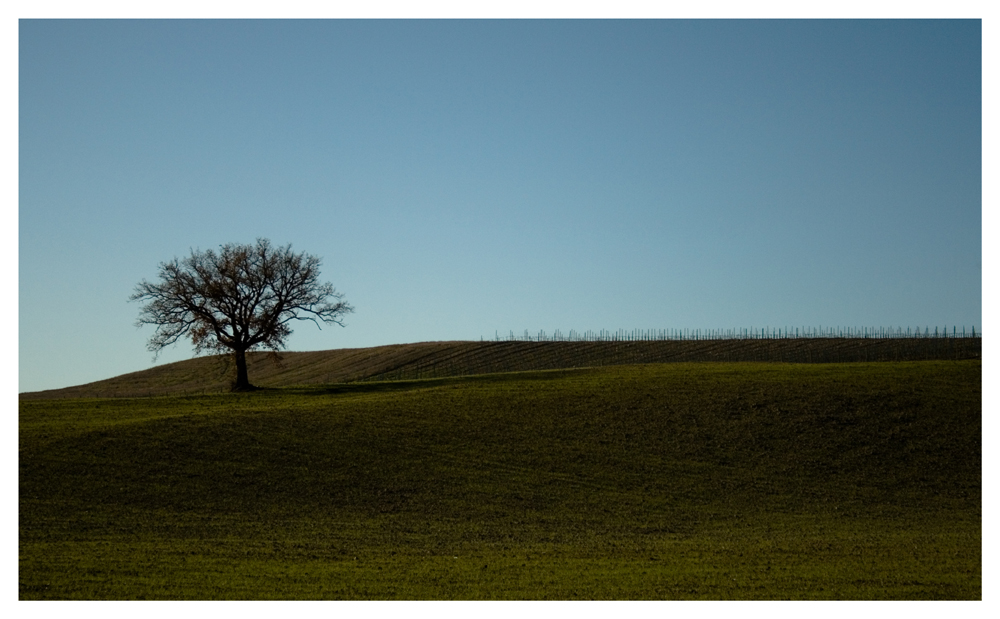 Assolato inverno