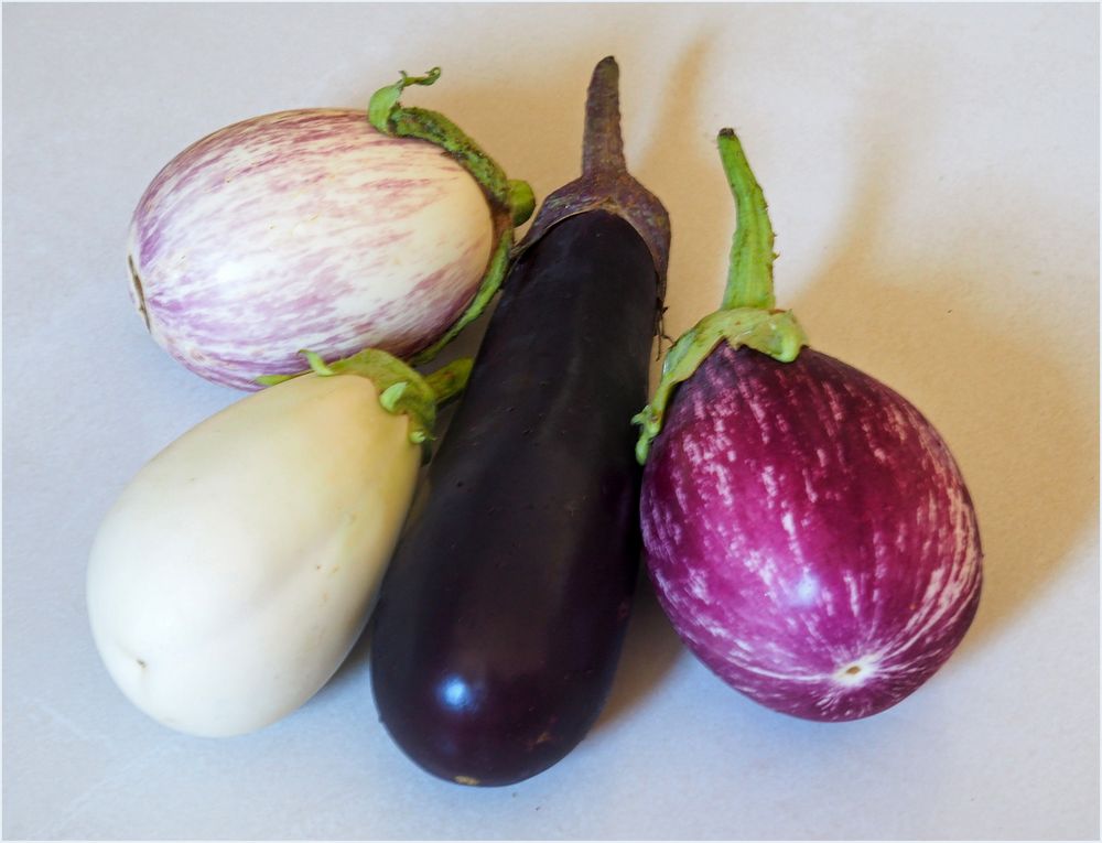 Assortiment d’aubergines