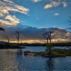 Assynt Islet