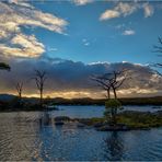 Assynt Islet