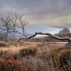 Assynt, Scotland - 120 fuji velvia 50 transparency - 2016