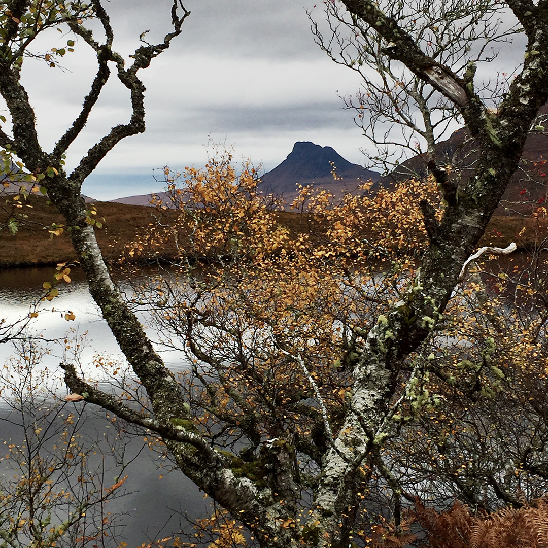 Assynt, Stac Pollaidh - IPhone 6 - 2016