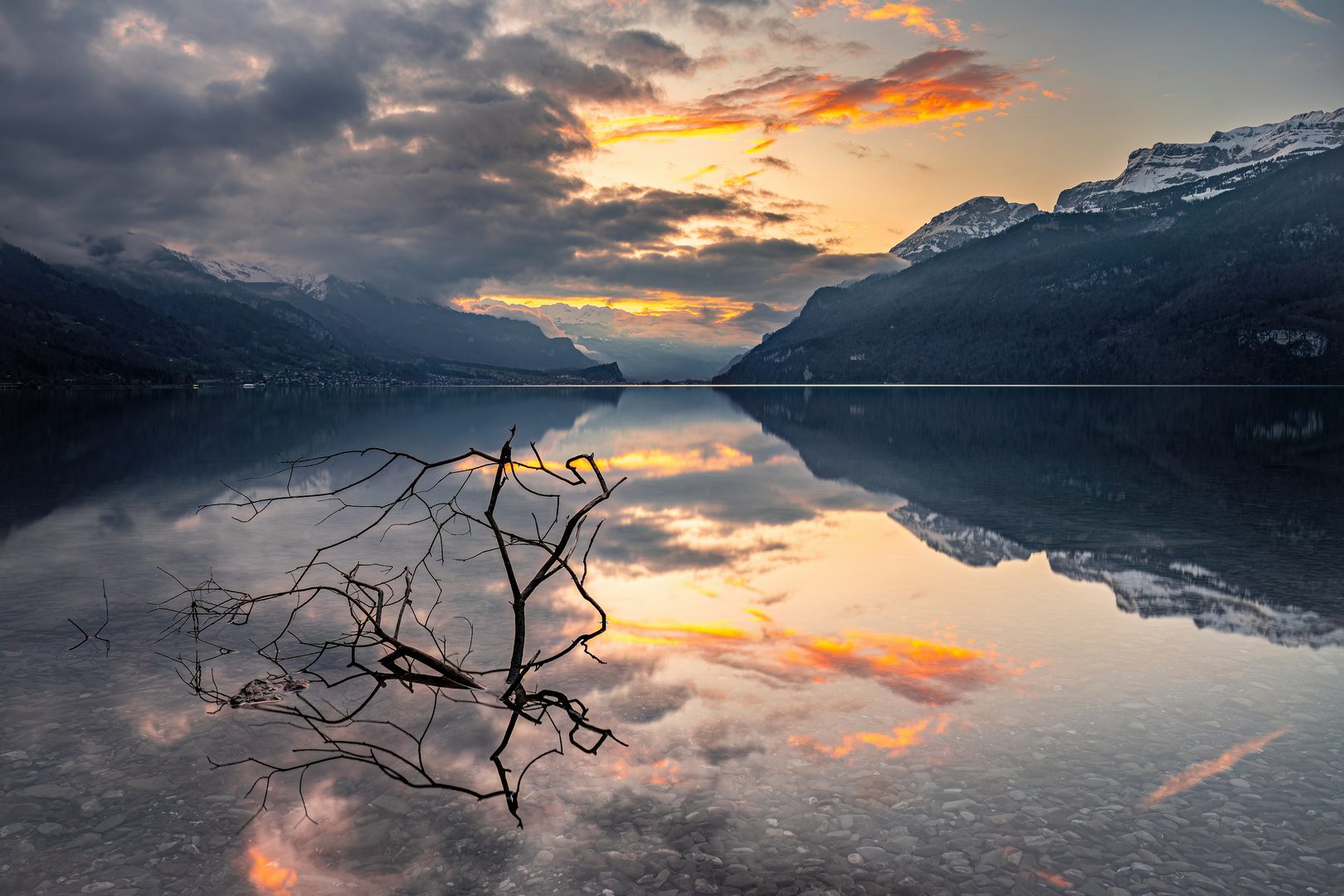 Ast im Brienzersee