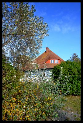 Asta Nielsen Haus Insel Hiddensee