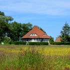 Asta Nielsen Haus – Karusel