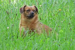 Asta: Zwei Minuten Mäuse – Pause