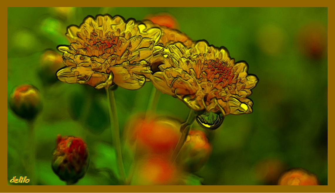 Aster nach dem Regen (Wachsüberzug)