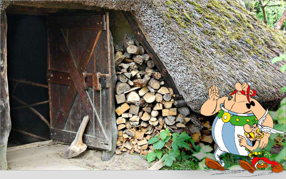 Asterix und 0belix sind zum Wildschweinessen eingeladen