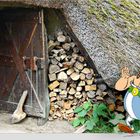 Asterix und 0belix sind zum Wildschweinessen eingeladen