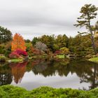 Asticou, Acadia National Park