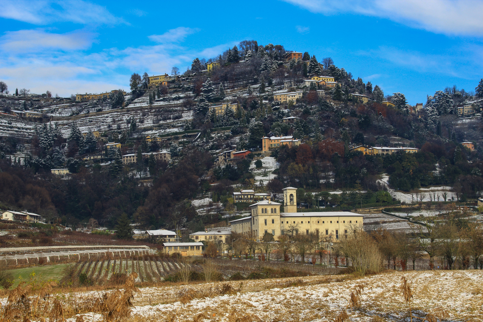 Astino in bianco