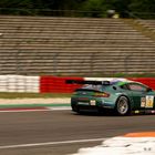 Aston Martin Vantage GT2   (#87) V