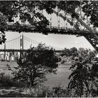 Astoria Park Summerscape