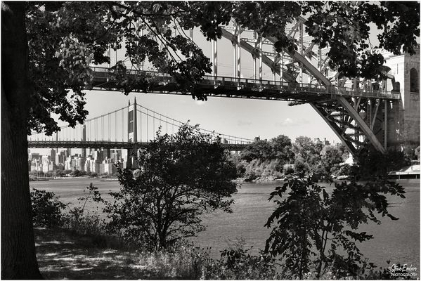 Astoria Park Summerscape