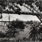 Astoria Park Summerscape