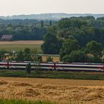 Astoro Folierung (2)