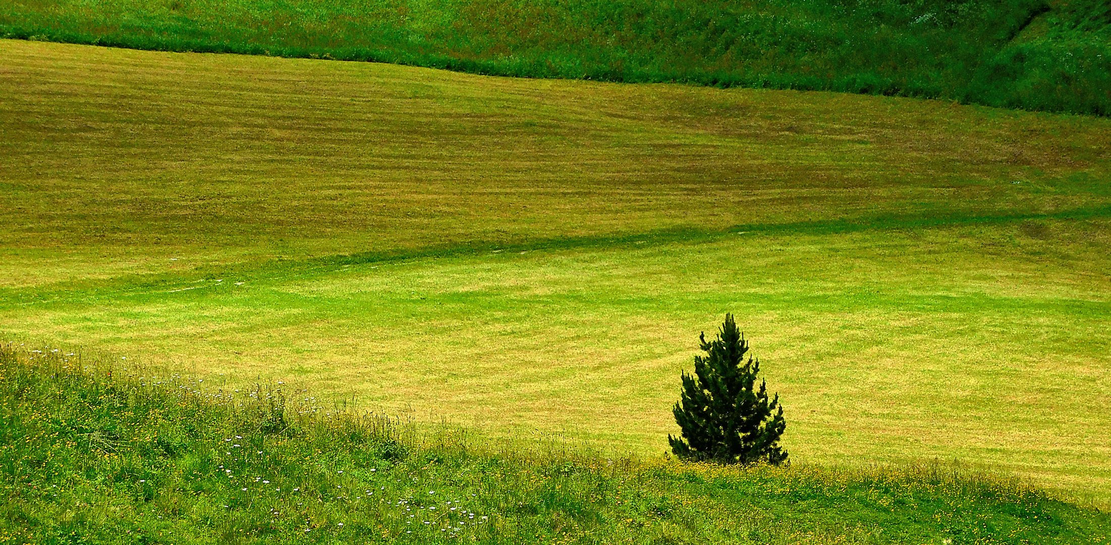 Astrazioni in verdi diagonali