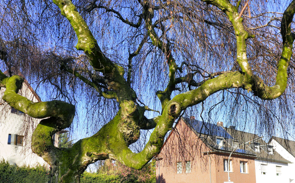 Astrein in den Winter