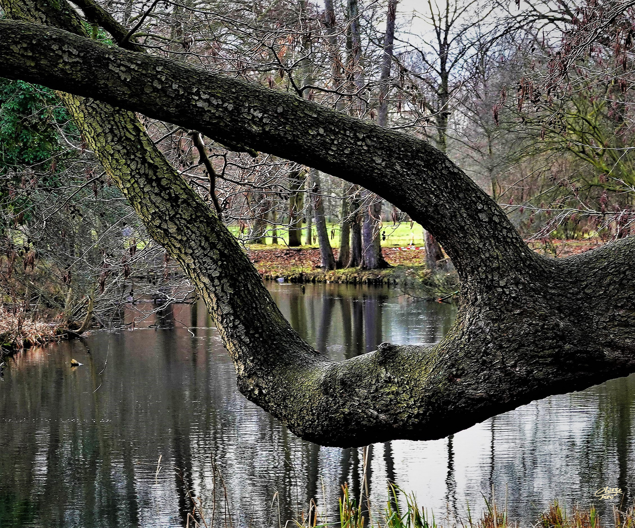 Astreiner Durchblick