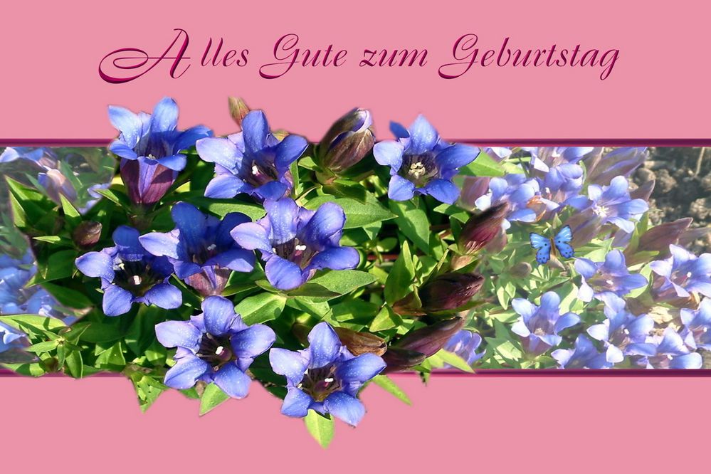Astrid hat Geburtstag Foto & Bild  spezial, karten und kalender, geburtstagskarten Bilder auf 